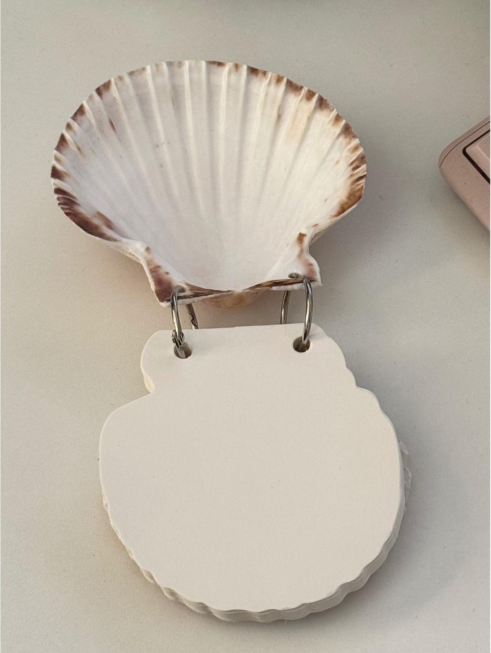 Real Scallop Seashell Flip Notepad Coastal Beach Shell Memo Pad